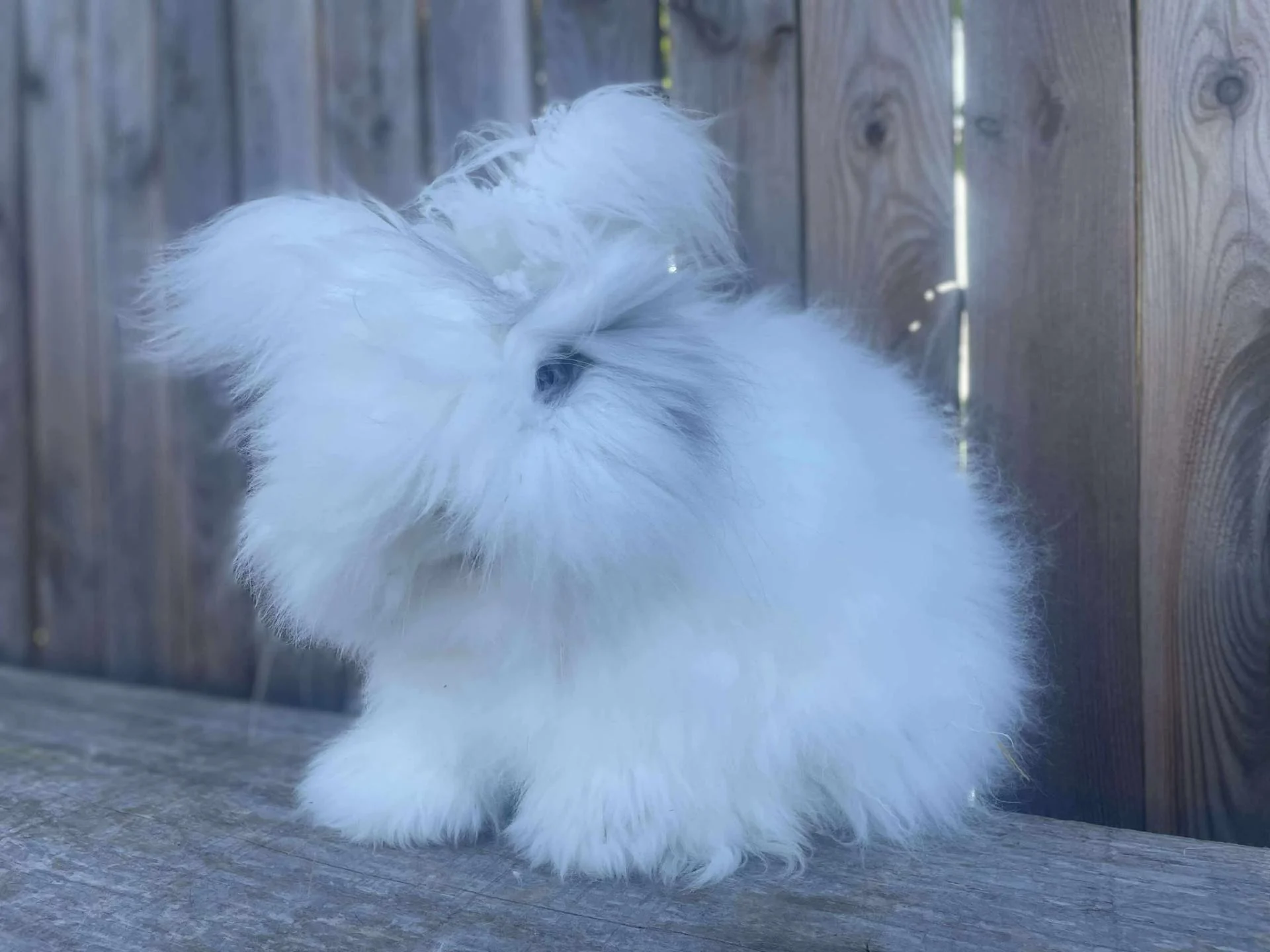 506444577 1239488637586220 7424368226071714180 n